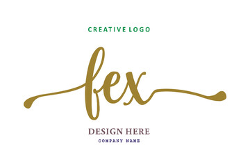 FEX lettering logo is simple, easy to understand and authoritative