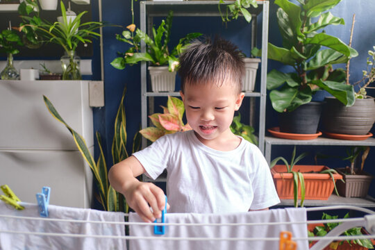 Cute Little Asian 4 Years Old Kid Having Fun Hanging Clean Washed Clothes On Drying Rack For Drying At Home, Little Home Helper, Chores For Kids, Executive Functioning Skill Development Concept