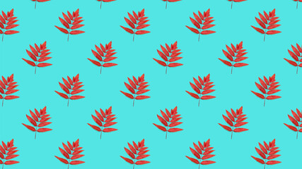 Seamless pattern of turquoise background with red Rowan leaves.