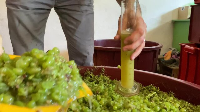 Checking wine with wine hydrometer