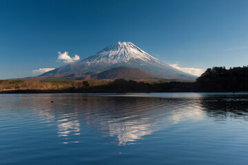 Naklejka premium 精進湖からの富士山