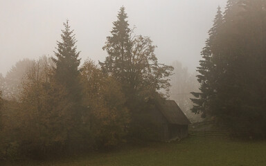 forgotten cabin in the woods