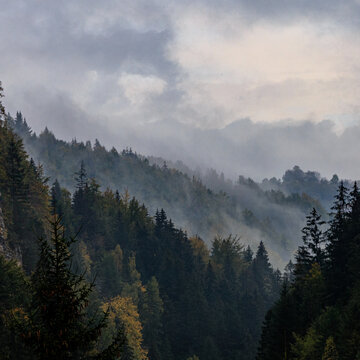 clouds and mist over the mountains © Laurentiu