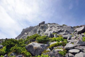 羅臼岳の頂上（北海道・知床）