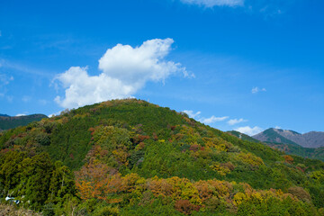 Obraz premium 山と青空