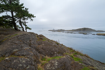 Deadman Island viewed from Shark Reef Sanctuary, Lopez Island, Washington, USA