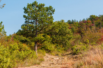 Image is a mountain path leading to the highest peak near the small town of Galeata in Italy.
