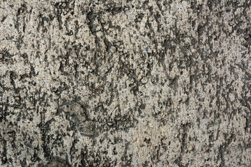 Abstract concrete wall texture with empty space for text.