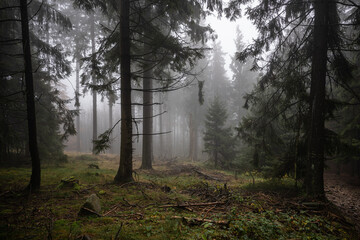 Der Altkönig im Herbst