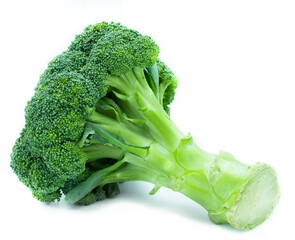 broccoli isolated on white background