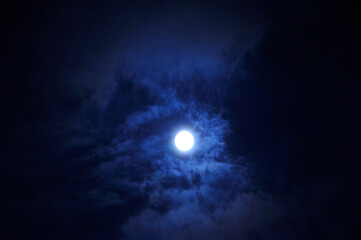Obraz premium 雲間の月