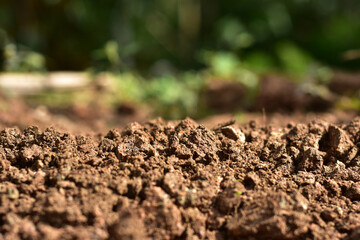 Clean soil for cultivation. The potting soil or peat is suitable for gardening and is one of the...