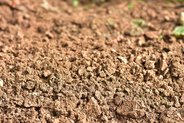 Clean soil for cultivation. The potting soil or peat is suitable for gardening and is one of the four natural elements. The land is life for our planet earth. Selective Focus.