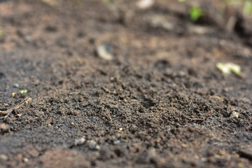 Clean soil for cultivation. The potting soil or peat is suitable for gardening and is one of the four natural elements. The land is life for our planet earth. Selective Focus.