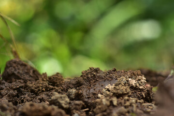 Clean soil for cultivation. The potting soil or peat is suitable for gardening and is one of the four natural elements. The land is life for our planet earth. Selective Focus.