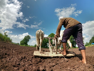 farmer work in farm