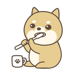 歯を磨く子犬　柴犬