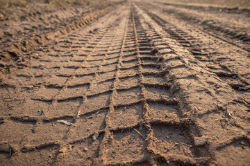 Fototapeta premium the imprint of the tread on a dirt road. Clay soil, summer day, sunlight