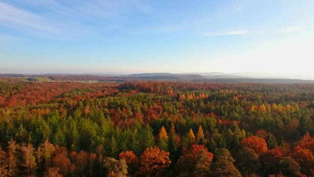 Aerial photography of autumn forest, drone flying over the forest
