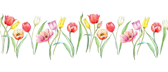 Beautiful horizontal seamless pattern with watercolor gentle blooming tulip flowers. Stock illustration.