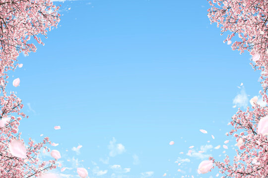 6 0 最適な 花吹雪 画像 ストック写真 ベクター Adobe Stock