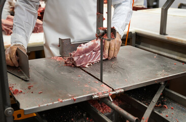 Butcher cuts freshly slaughtered meat of pork for sale and further processing as sausage