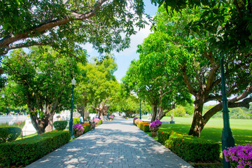 バーンパイン離宮の並木道