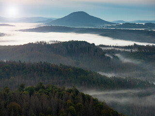 Fototapeta premium Misty dark forest landscape in the morning sunrise. Heavy fog and forest tree view on top. Foggy morning mist in valley beautiful sky