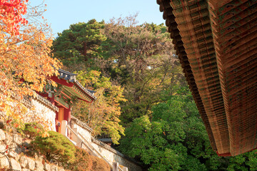 the autumn scenery of Korean temples
