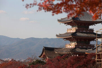 Obraz premium 清水寺