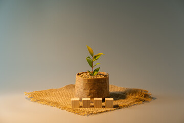 Growing plant in a sack pot with wood block