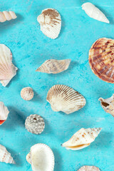 Sea shells on blue, a vibrant overhead shot, a flatlay