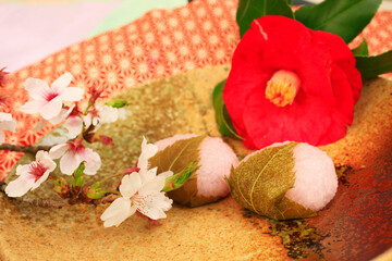 さくら餅と椿と桜の花