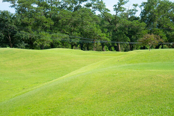 Fototapeta na wymiar Beautiful green lawn or golf course.