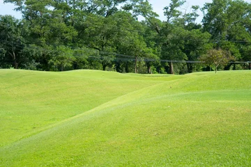 Papier peint photo  Beautiful green lawn or golf course.  © BUDDEE