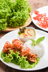 Deep Fried Chicken  and Green Curry with Rice , vegetable  in White plate. Thai food