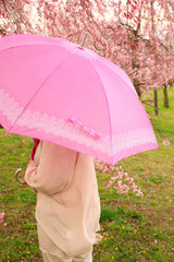 雨の枝垂れ桜と傘をさす女性