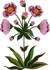 bouquet of pink roses