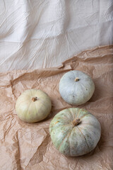 Real fresh gray pumpkin on paper background with fabric drapery.