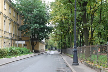 City alley surrounded by tall green trees
