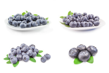 Group of bilberry isolated on a white cutout