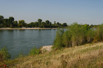 Course of river bed of the Rhine north of Düsseldorf through a green over-grown landscape, in sections with narrow sandy beaches, the water ripples with small waves due to the wind and the flow speed