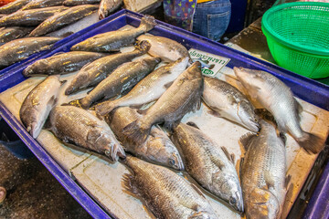 thai seafood in Naklua part of Pattaya