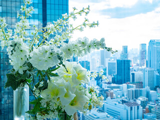 【世界貿易センタービル】白い花と高層ビル