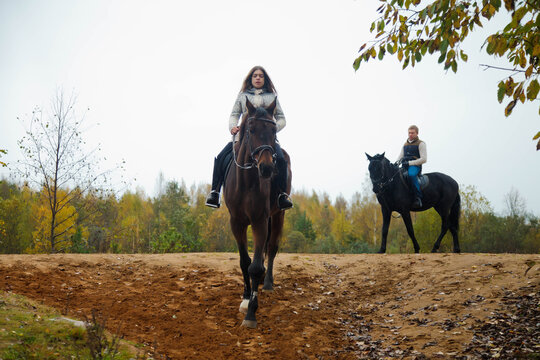 Cute young couple on horsebacks in autumn forest on country road. Riders in autumn Park in inclement cloudy weather with light rain. Concept of outdoor riding, sports and recreation. Copy space