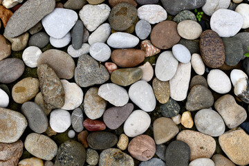 Abstract smooth round pebbles sea texture background.