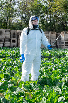 farmer spraying pesticide field mask harvest protective chemical