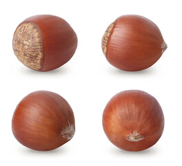 Hazelnuts isolated on white background. Full depth of field.