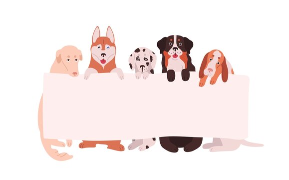 Cute dogs holding empty horizontal advertising banner with a place for text. Funny domestic animals with blank sign isolated on white background. Vector illustration in flat cartoon style
