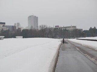 The streets of Kanazawa are covered with snow.